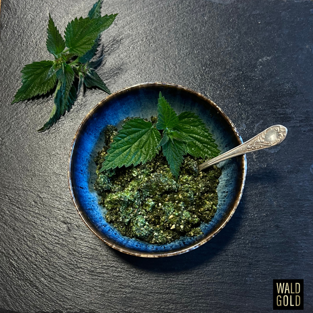 Brennnessel-Bucheckernpesto