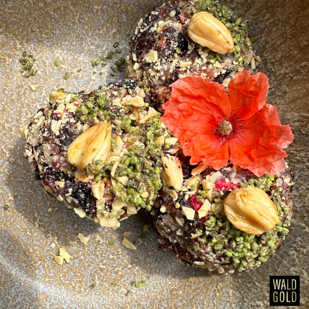 Energy Balls mit Bucheckern und Brenn­nessel­samen