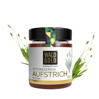 Spitzwegerich Aufstrich
