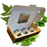 Pesto Bundle - GESCHENKBOX